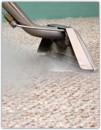 Steam Cleaning Carpets