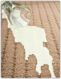 Carpet Stain Removal